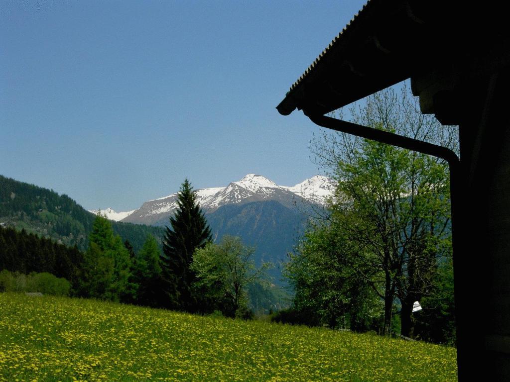 Apartment Suntinger